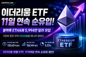 이더리움 현물 ETF 11거래일 연속 순유입…블랙록 ETHA에 기관 자금 몰렸다