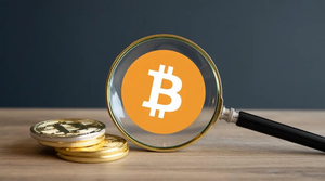 피델리티 CEO 주리엔 팀머, 새로운 포트폴리오 모델 공개! 비트코인 비중은 몇 퍼센트일까?